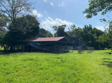 Terreno / Lote , Panamá · Vendo de Terreno 512 Ha en Pacora. Mrm