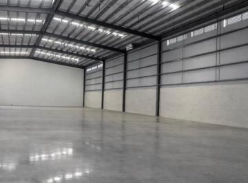 Bodega-Galpón-Depósito · 1000m² · 8 Estacionamientos · Galera, Juan Diaz, 1000 m² a Solo $8,750