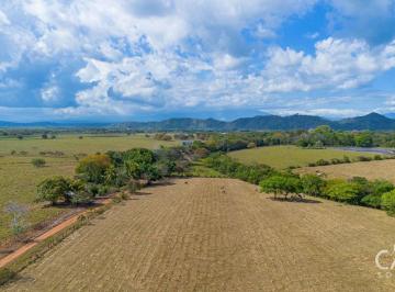 Terreno / Lote , David · 2,6 Hectáreas de Terreno en Venta en San Pablo Viejo, David Chiriqui