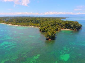 Isla de 1 habitación, Bocas del Toro · Se Vende 320 Hectáreas de Terrenos Frente Al Mar en Isla Cayo Agua en Bocas del Toro