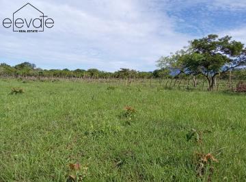 Finca · 155000m² · Finca en David Chiriqui