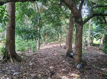 Terreno / Lote , La Chorrera · Se Vende Terreno (Lote), en Paso Arena, Corregimeinto de Playa Leona, Distrito de Chorrera.