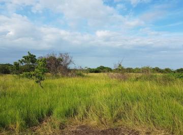 Terreno / Lote , Antón · El Espino. Anton. 43h Tituladas $394,000.00neg