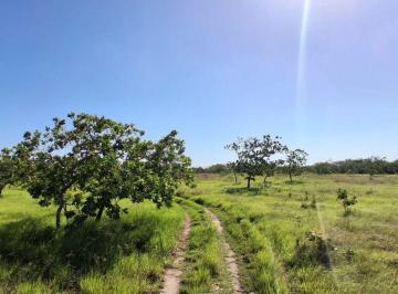 Terreno / Lote , Antón · El Espino. Anton. 43h Tituladas $394,000.00neg