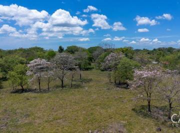 Terreno / Lote , David · Parcela de 1.9 Hectáreas en Venta en San Pablo Viejo, Chiriquí