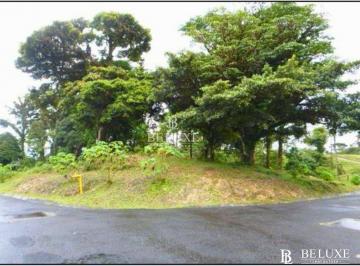 Terreno / Lote · 1505m² · Venta de Terreno en Altos del Maria / La Rioca (6)