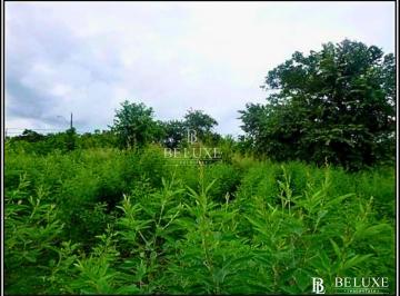 Terreno / Lote · 1200m² · Venta de Terreno en Coronado, Playa Gorgona (6)