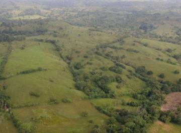 Terreno / Lote , La Chorrera · Rsw. Se Vende Finca de Casi 10 Ha con Casa, en Los Mortales, La Chorrera.