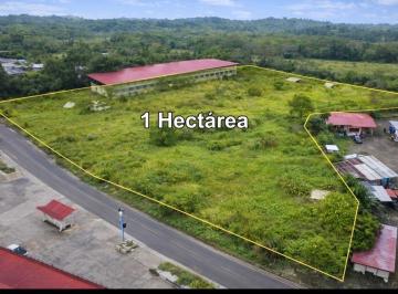 Terreno / Lote · 10800m² · Chepo, Terreno 1 Hectária a Solo $2.5 m