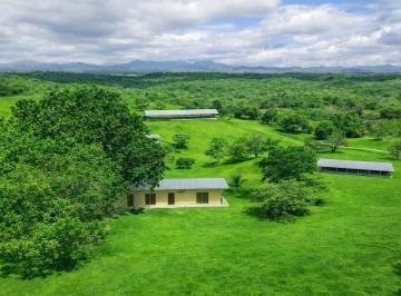 Finca , San Carlos · Finca de 13.25 Hectáreas con Vistas Al Mar y a La Montaña