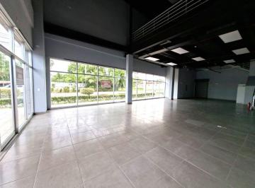 Local comercial , David · Rsw. Se Alquila Local en Pb con 165 m Mas 125 m en Mezzanine. Plaza Comercial