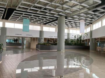 Local comercial , Panamá · Alquiler de Local en Albrook