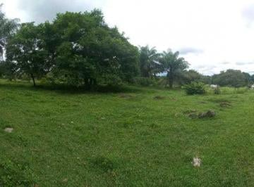 Finca · 186600m² · Se Vende 18 Ha en Santiago Veraguas