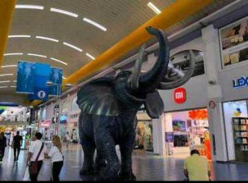 Local comercial · 152m² · Alquiler Local Comercial en Albrook Mall Lt