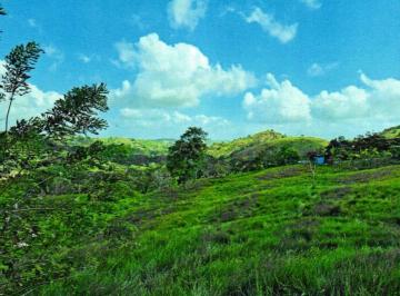 Terreno / Lote · 43022m² · Vendo Terreno en La Chorrera San Sebastian
