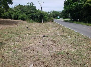 Imagen Destacada · Venta de Terreno en Via La Pintada Penonome