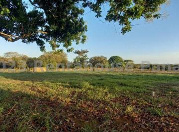 Terreno / Lote , Pedasí · Lote en Venta en Pedasi 1322 m²