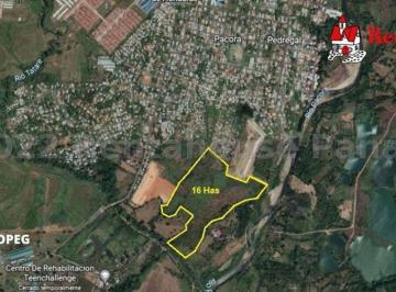 Terreno / Lote , Panamá · Lote en Pacora - 16 Ha