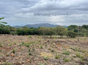 Terreno / Lote · 6000m² · Lote en Venta en La Madera, El Copé | con Vistas a Montaña