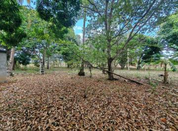 Terreno / Lote · 55000m² · 19 Estacionamientos · Venta Terreno Plano en Via a Valle de Anton 5.5 Ha Cp