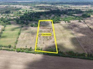 Terreno / Lote , Alanje · Finca de 8 Hectáreas en Venta en Canta Gallo, Alanje – Ideal Para Agricultura E Inversión