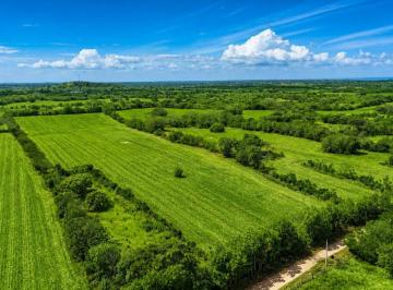 Terreno / Lote , Las Tablas · Granja Plana y Extensa en Venta Cerca de Las Tablas y Chitre