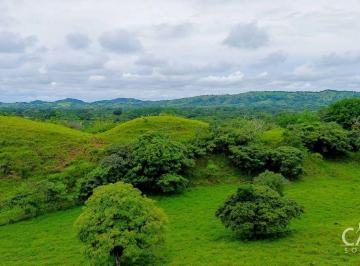 Terreno / Lote , David · 7 Hectáreas de Terreno en Venta en Guacá, David, Chiriquí