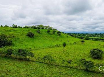 Terreno / Lote , David · 7 Hectáreas de Terreno en Venta en Guacá, David, Chiriquí