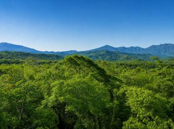 Terreno / Lote , Gualaca · Parcela de 1 Hectárea en Venta en Bijagual, Cerrillo, Gualaca Chiriqui