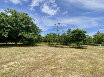 Terreno / Lote · 1000m² · Coronado - Chame - Jac