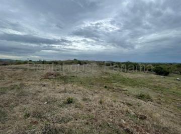 Terreno / Lote , Pesé · Venta de Terreno en Herrera