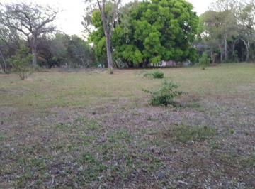 Terreno / Lote , Chame · Gorgona. 5000 m Plano, Titulado, Servido $250,000