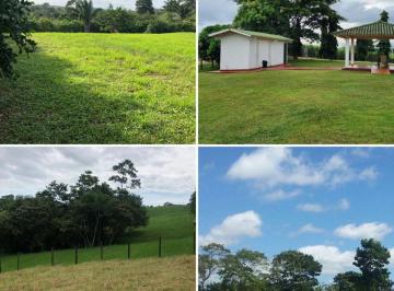 Terreno / Lote , La Chorrera · Venta de Finca en Lote Campestre, en Panamá Oeste, La Chorrera