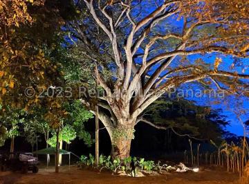 Terreno / Lote , Panamá · Terreno en Venta en Buenaventura. 26 - 7476.
