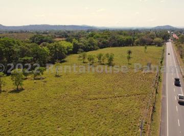 Terreno / Lote , Dolega · Terreno en Venta en Los Algarrobos. 26 - 537.
