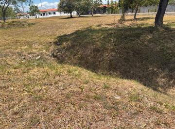 Terreno / Lote · 1000m² · Venta de 2 Terrenos en Palmeras del Este, Coronado