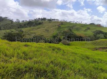 Terreno / Lote , Capira · Venta de Terreno en Lidice Ddb26 - 5772