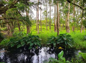 Terreno / Lote , Bugaba · Experience The Peace Of Volcán | Land With a Natural Creek