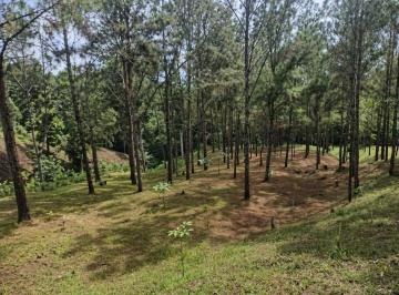 Terreno / Lote , Chepo · Vendo Finca Agroturística con Tiny House