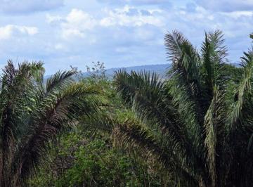 Terreno / Lote , La Chorrera · Oportunidad: Lotes Camprestres Titulados Financiam. Directo Sin Abono y Interes Dese $200 Quincenal