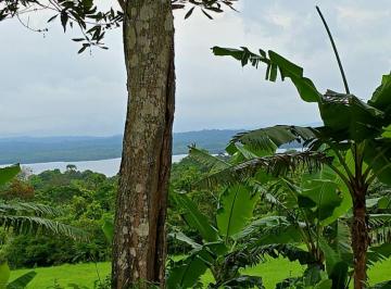 Terreno / Lote , La Chorrera · Oportunidad: Lotes Camprestres Titulados Financiam. Directo Sin Abono y Interes Dese $200 Quincenal