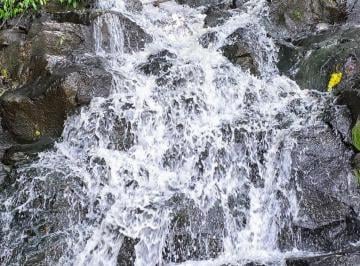 Finca , La Chorrera · Oportunidad Inversión Frente Lago Lotes Financiamiento Directo Desde $200 Quinc. Sin Interes y Abono