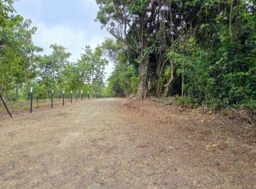 Finca , La Chorrera · Oportunidad Inversión Frente Lago Lotes Financiamiento Directo Desde $200 Quinc. Sin Interes y Abono