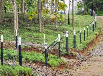Terreno / Lote , La Chorrera · Lotes Frente Al Lago Gatún - Financiamiento Directo Hasta 12 Años Sin Abono y Interes