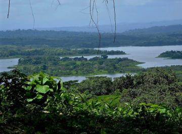 Finca , La Chorrera · Lotes Frente Al Lago Gatún - Financiamiento Directo Hasta 12 Años Sin Interes y Abono