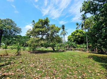 Terreno / Lote , Chame · Terreno en Chame