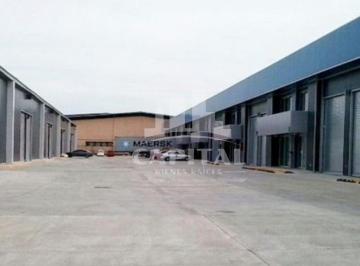 Bodega-Galpón-Depósito , Panamá · Ofigalera en Tocumen Office Storage