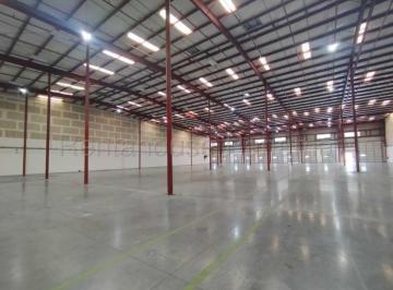 Bodega-Galpón-Depósito , Arraiján · Amplia Galera en Alquiler en Panamá Pacifico