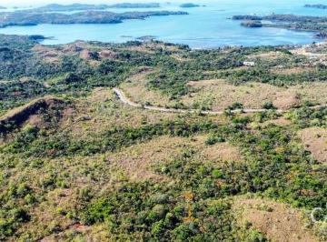 Terreno / Lote , San Lorenzo · 1 Hectárea de Terreno en Venta en Boca Chica, Chiriquí