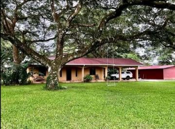 Finca de 3 habitaciones, David · Venta de Finca en El Higo de Cochea